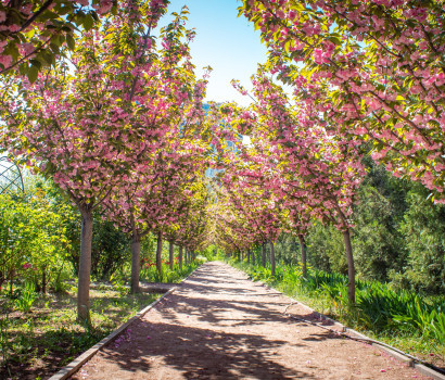 This is what they’ve become.