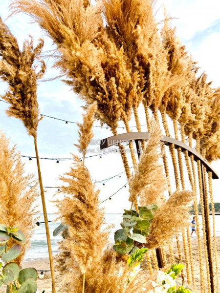 WEDDINGS / go to section…