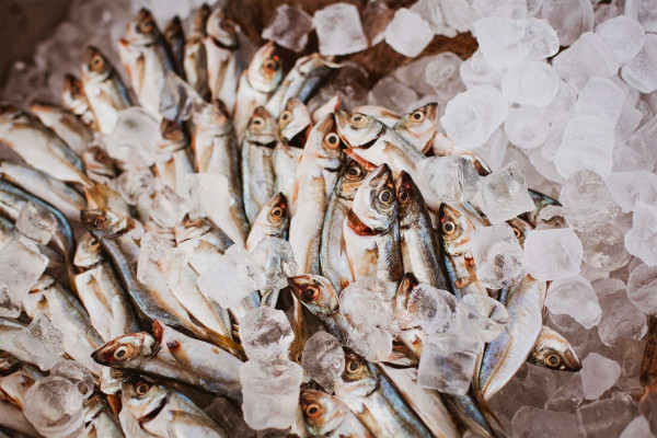 Company "EVENT CATERING" (Odesa, Ukraine) / go to section…