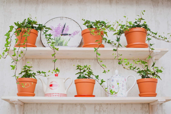 Park cafe "EVENT cafe" (Odesa) / go to section…