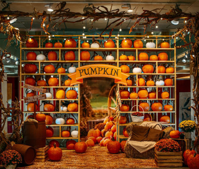 Autumn enters the city 🍁