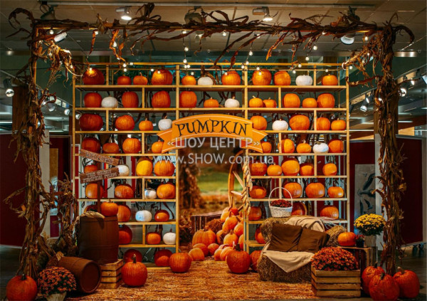 PRESENTATIONS / go to section…