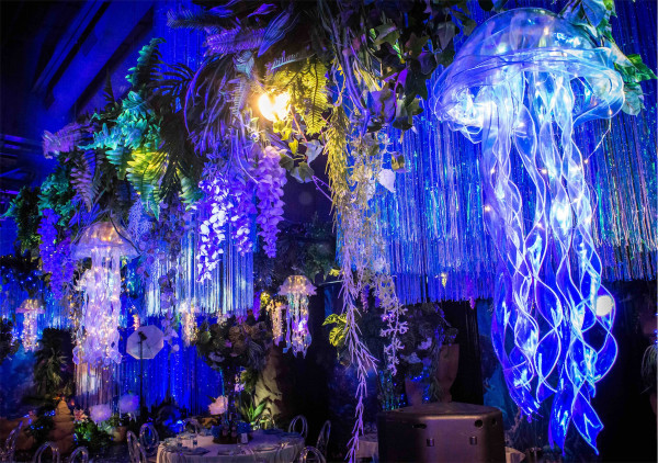 CORPORATE events and PARTIES / go to section…