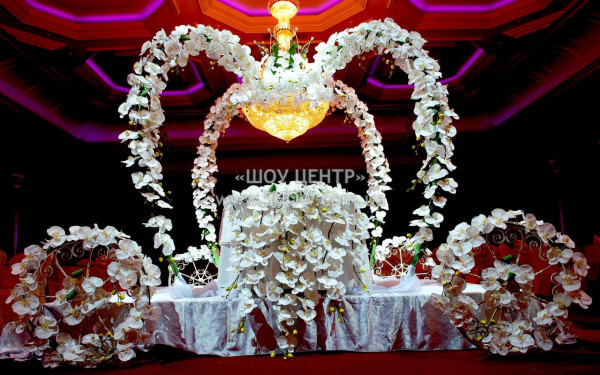 EVENT DECOR PRO / go to section…