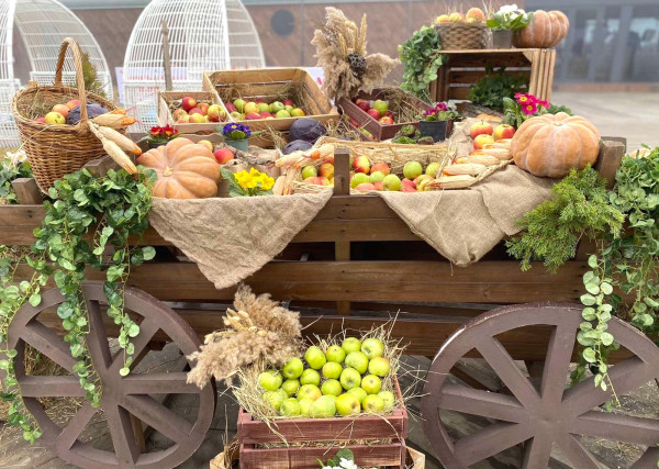 EMOTIONAL TEAMBUILDING & TRAININGS / ideas / options / implementation / go to section…