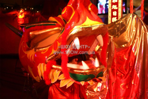 PRESENTATIONS / go to section…