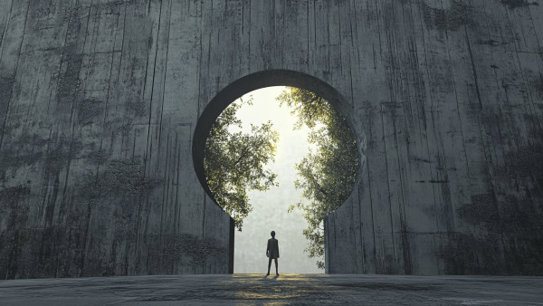 Mentoring program: LEADING WITH MEANING / creating and supporting public initiatives / go to section…