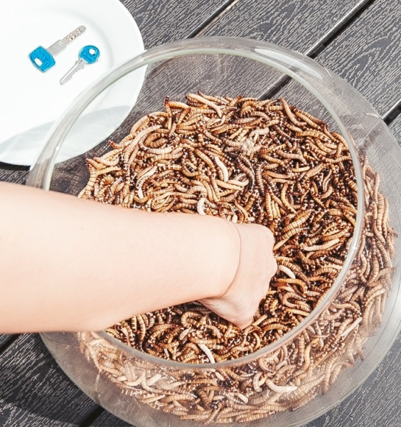 EMOTIONAL TEAMBUILDING & TRAININGS / ideas / options / implementation / go to section…