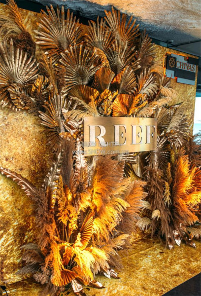 PRESENTATIONS / go to section…