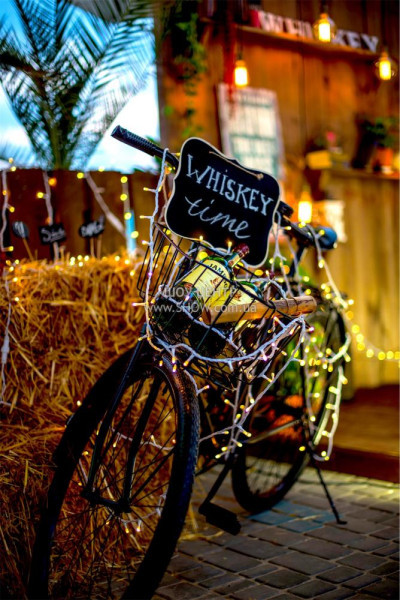 PRESENTATIONS / go to section…