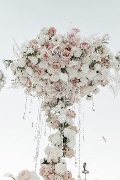 WEDDINGS / go to section…